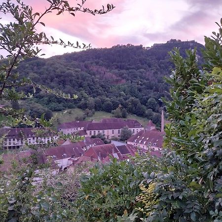 Apartmán Le Coeur De Sel Salins-les-Bains Exteriér fotografie