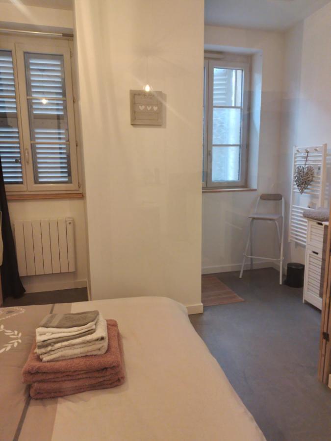 Apartmán Le Coeur De Sel Salins-les-Bains Exteriér fotografie
